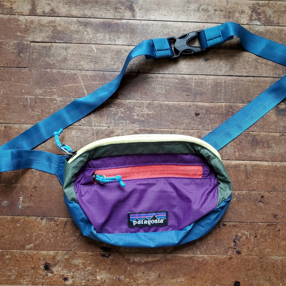 Patagonia hip pack colorblock